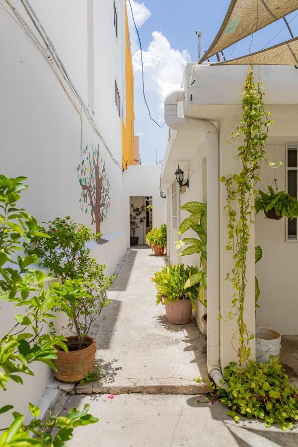 Hotel Las Palmas Cancun Centro المظهر الخارجي الصورة
